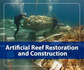 Artificial Reef Restoration and Construction