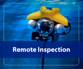 Remote Inspection