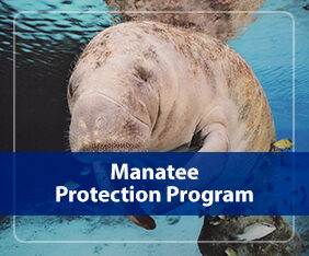 Manatee Protection Program