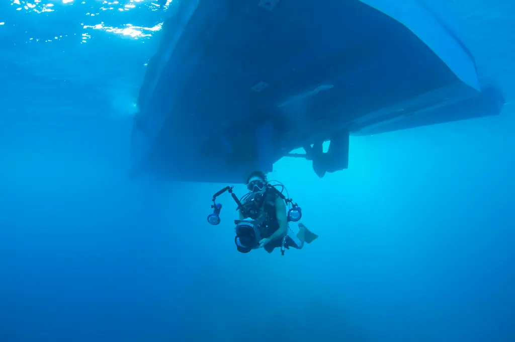 Marine Diving Services in Virginia