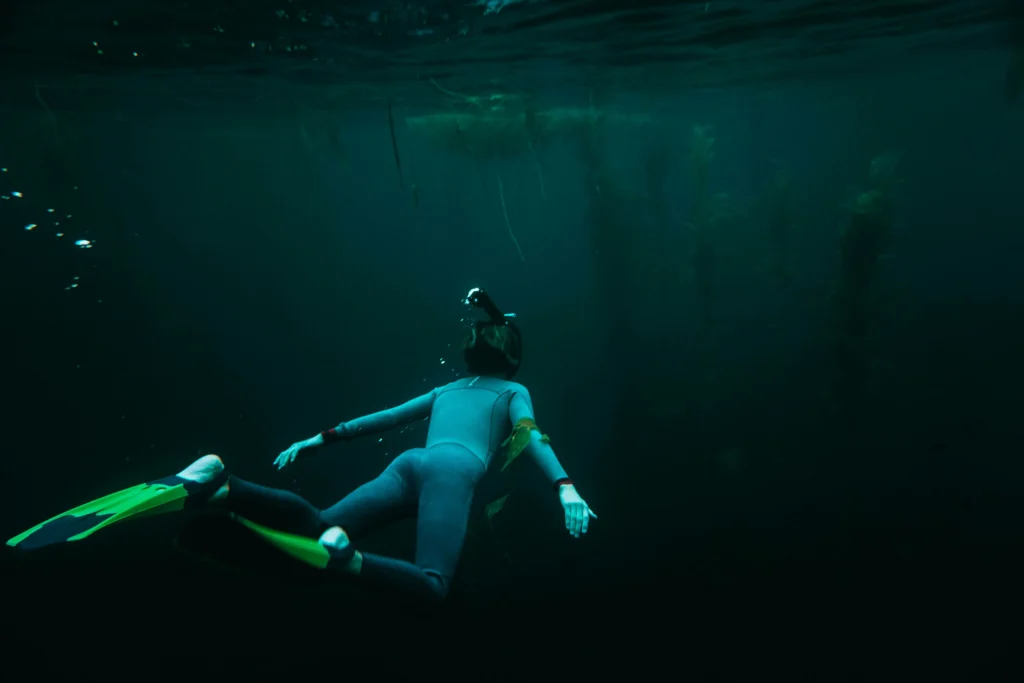 Underwater Inspection Technology in Alabama