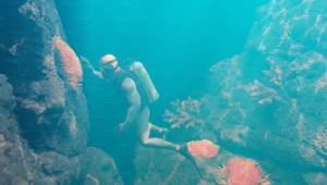 underwater grouting solutions in Gulf Coast
