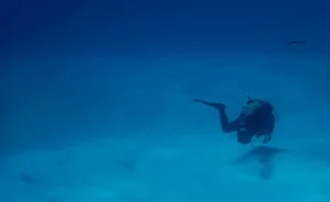 underwater grouting solutions in Mobile