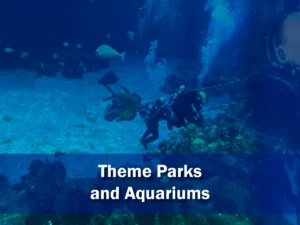 UESI underwater maintenance and repair services for theme park attractions and large-scale aquarium facilities.